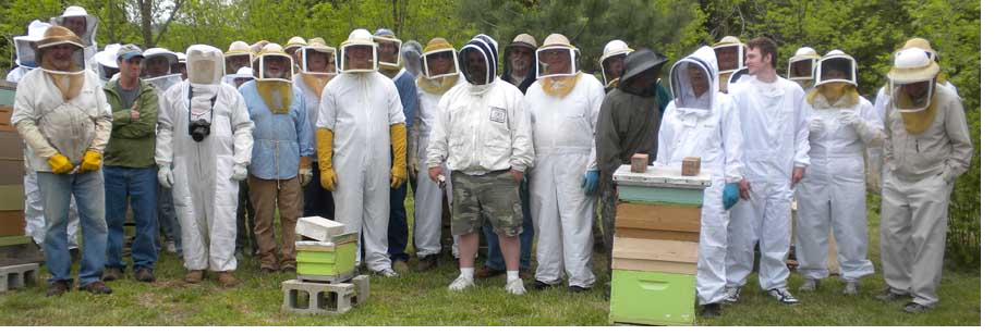 Members of the association at work in the apiary